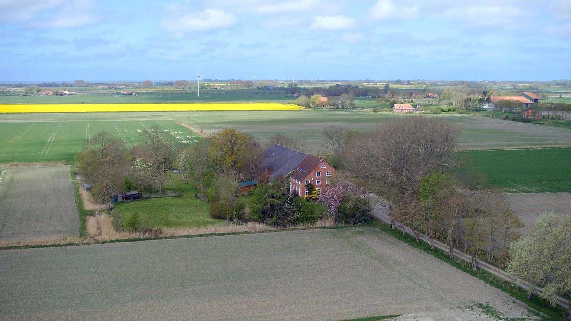 Mooi Stuv , Maisonettenwohnung , Gulfhof , Kachelofen Norden Dış mekan fotoğraf